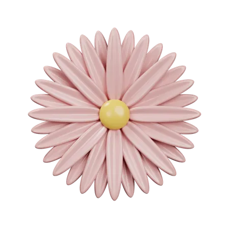 Chrysanthème  3D Icon