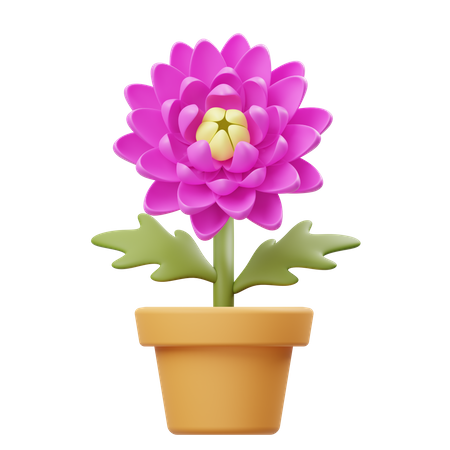 Pot de fleur de chrysanthème  3D Icon