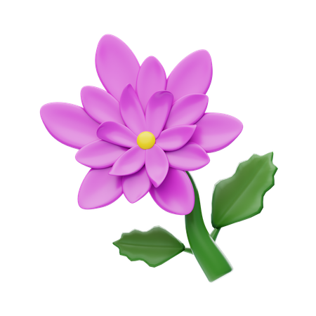 Chrysanthemum  3D Icon