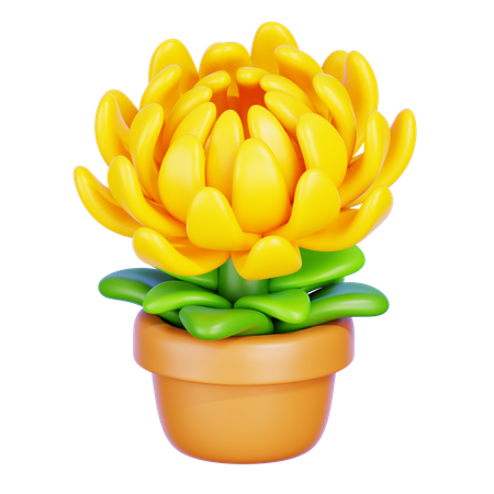 Chrysanthemum  3D Icon