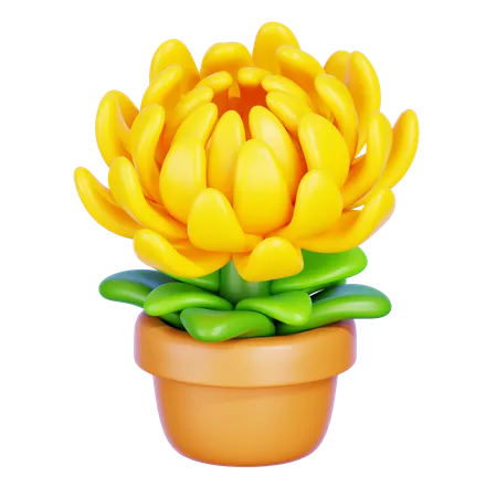 Chrysanthemum  3D Icon