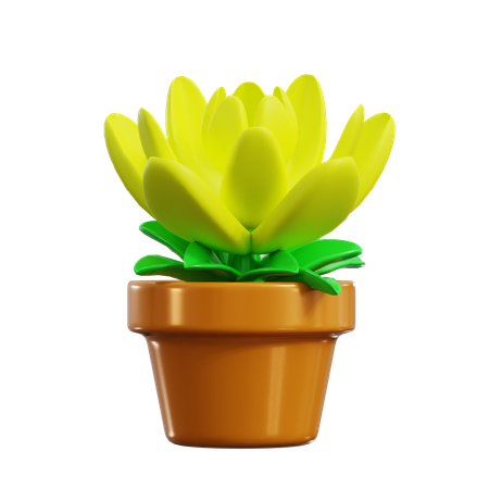 Chrysanthemum  3D Icon