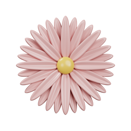 Chrysanthemum  3D Icon