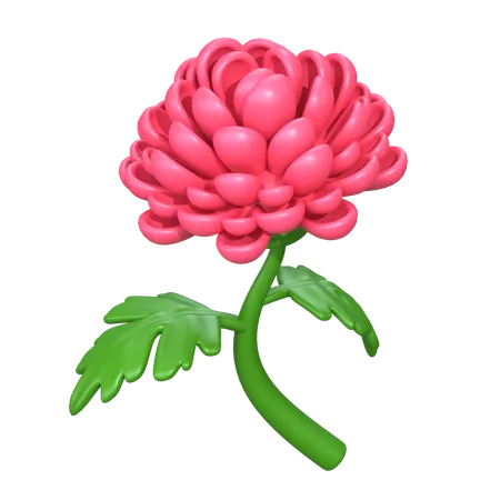 Chrysanthemum Flower  3D Icon