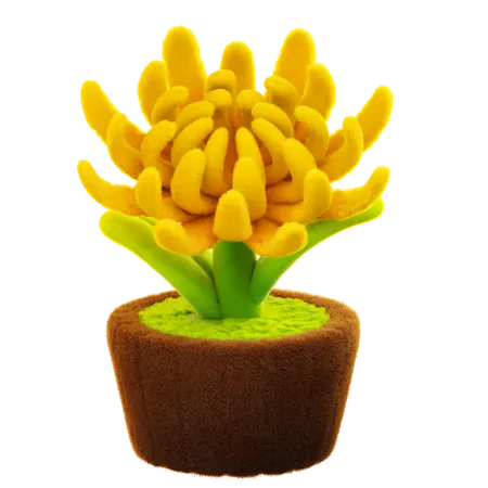 Chrysanthemum Flower  3D Icon