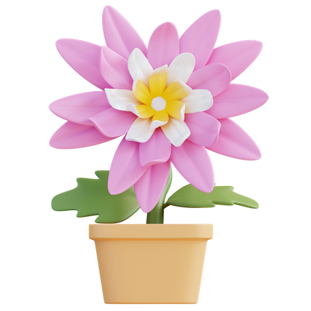 Chrysanthemum Flower  3D Icon