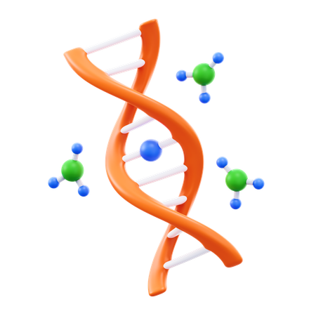 Conocimiento de la ciencia  3D Icon