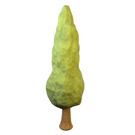 Cipreste  3D Icon