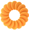 Circle Ring Shape