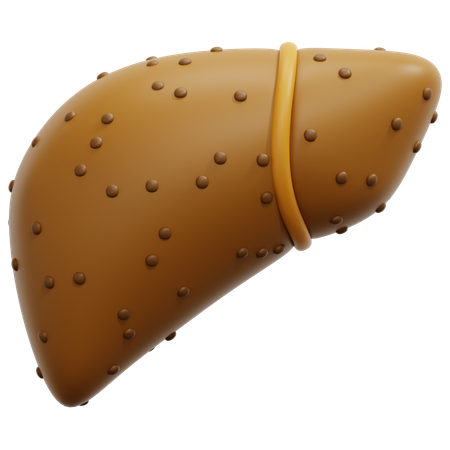 Cirrhosis  3D Icon