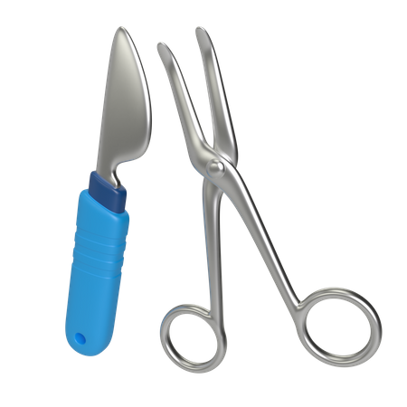 Ciseaux et scalpel  3D Illustration