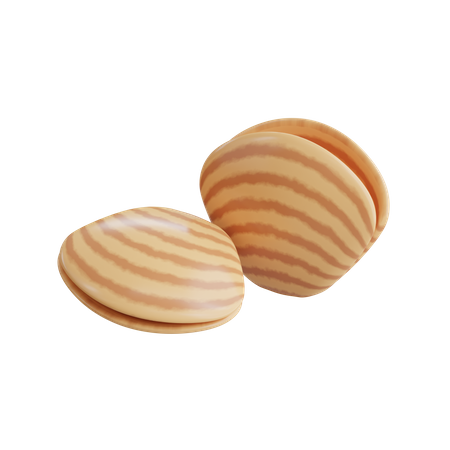 Clam  3D Icon