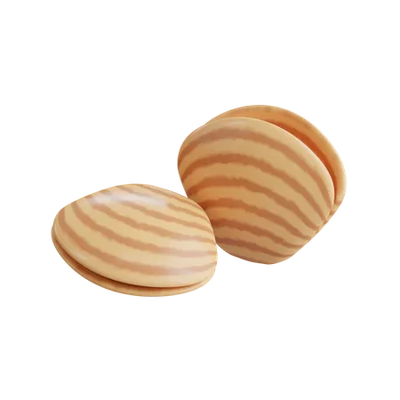 Clam  3D Icon