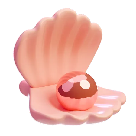 Clam Shell  3D Icon