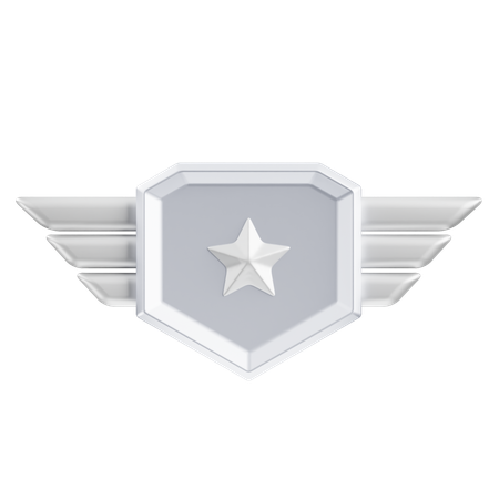 Classificação Pneu Prata 1  3D Icon