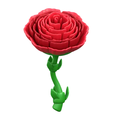 Flor de claveles  3D Icon