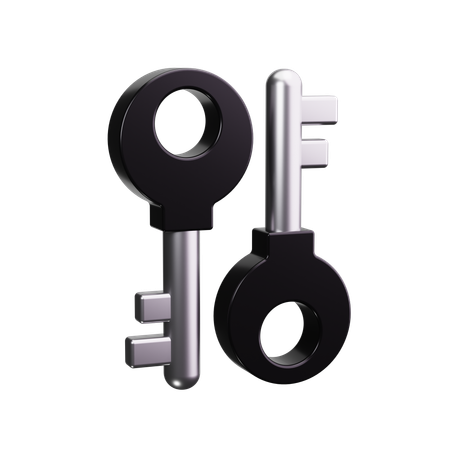 Clef de sécurité  3D Icon