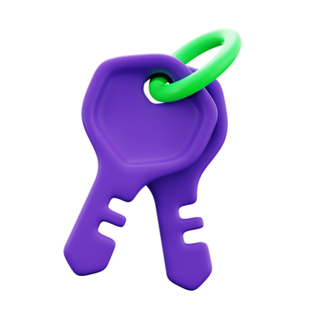 Clés de cyberattaque  3D Icon