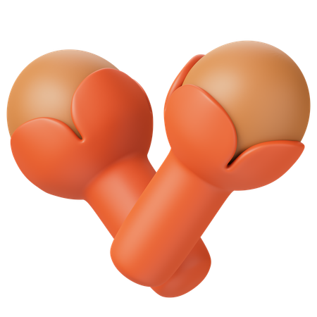 Clove  3D Icon
