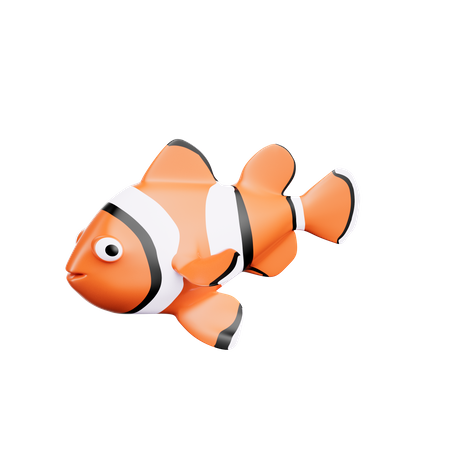 Clown Fish  3D Icon