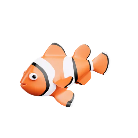 Clown Fish  3D Icon