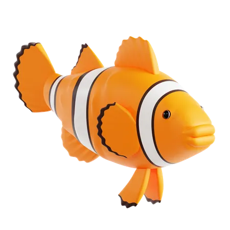 Clown Fish  3D Icon