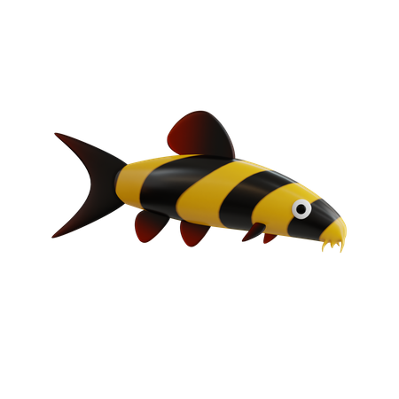 Clown Loach  3D Icon