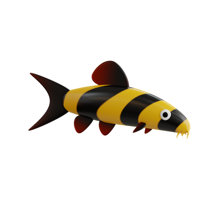 Clown Loach  3D Icon