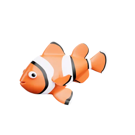 Clownfisch  3D Icon