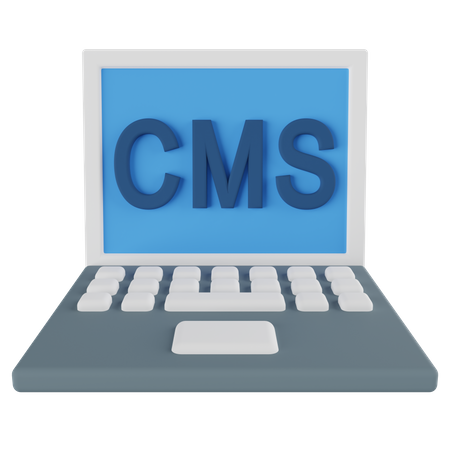 CMS System 3D Icon