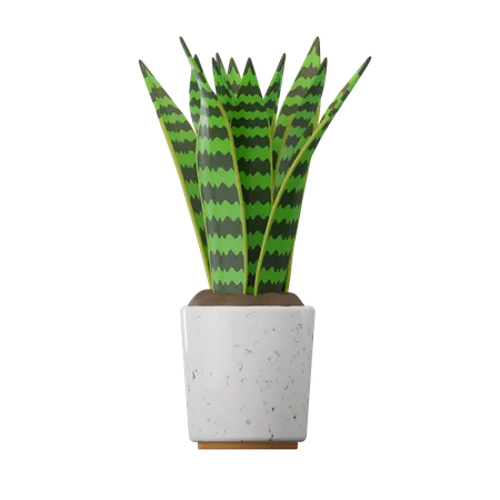 Planta cobra  3D Icon