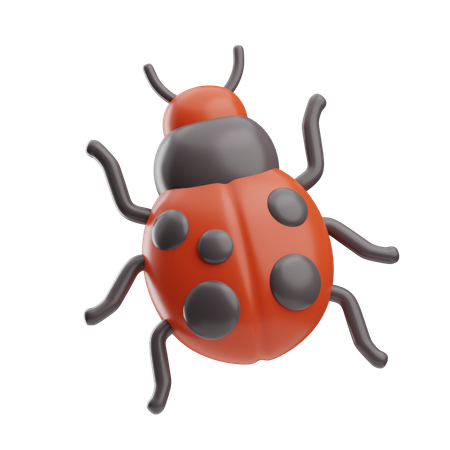 Coccinelle  3D Icon