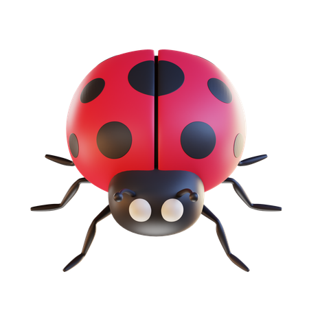 Coccinelle  3D Icon