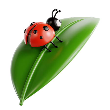 Coccinelle  3D Icon