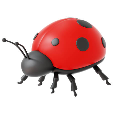 Dame Bug  3D Icon