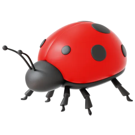 Dame Bug  3D Icon