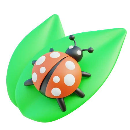 Coccinelle  3D Icon