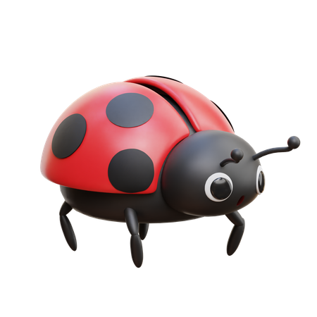 Dame Bug  3D Icon