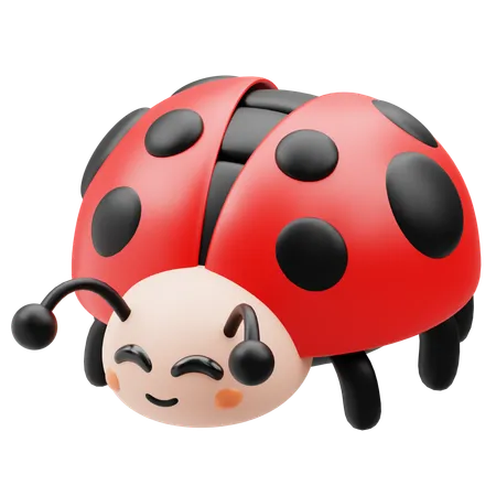 Coccinelle  3D Icon