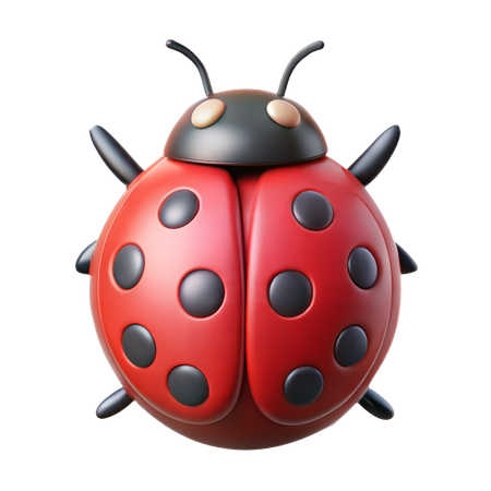 Coccinelle  3D Icon