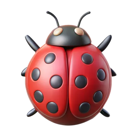 Coccinelle  3D Icon