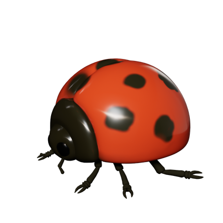 Dame Bug  3D Icon