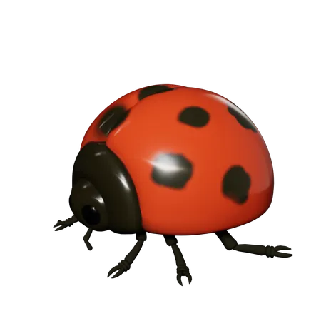 Dame Bug  3D Icon