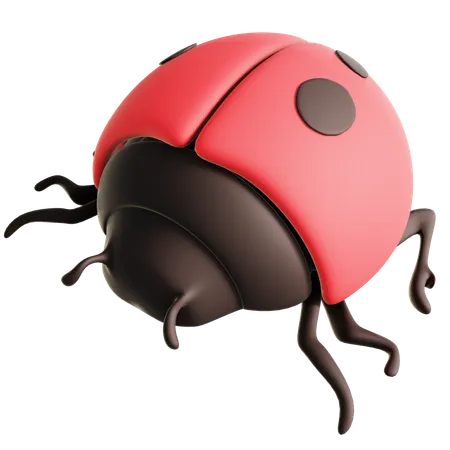 Coccinelle  3D Icon