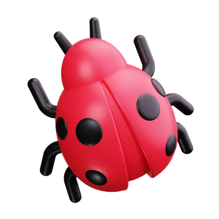 Coccinelle  3D Icon