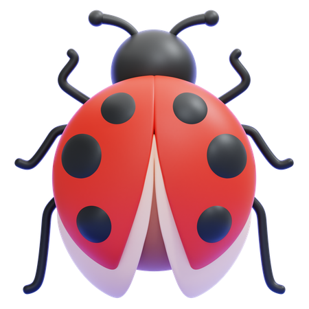 Coccinelle  3D Icon