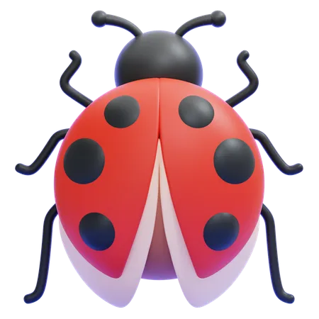 Coccinelle  3D Icon