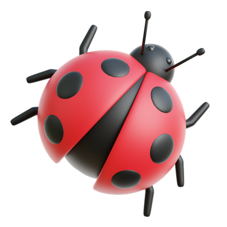 Coccinelle  3D Icon