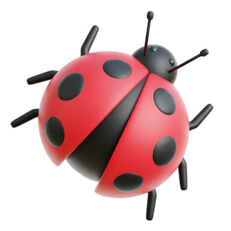 Coccinelle  3D Icon