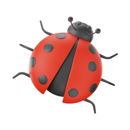 Coccinelle  3D Icon
